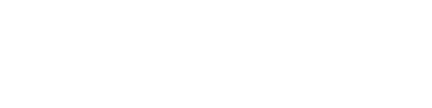 NZ2 logo